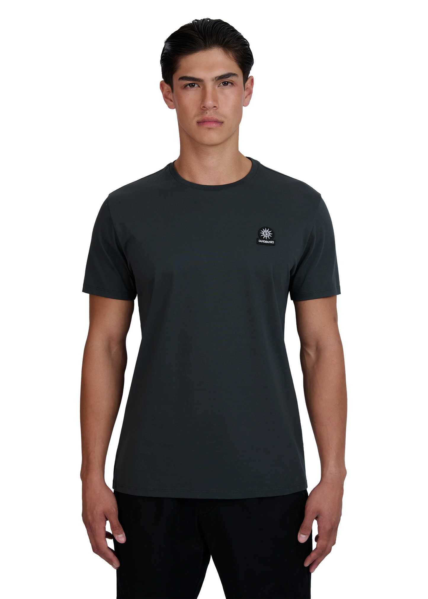 Sandbanks Badge Logo T-Shirt (anthracite)